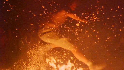 Jumping Through Flames